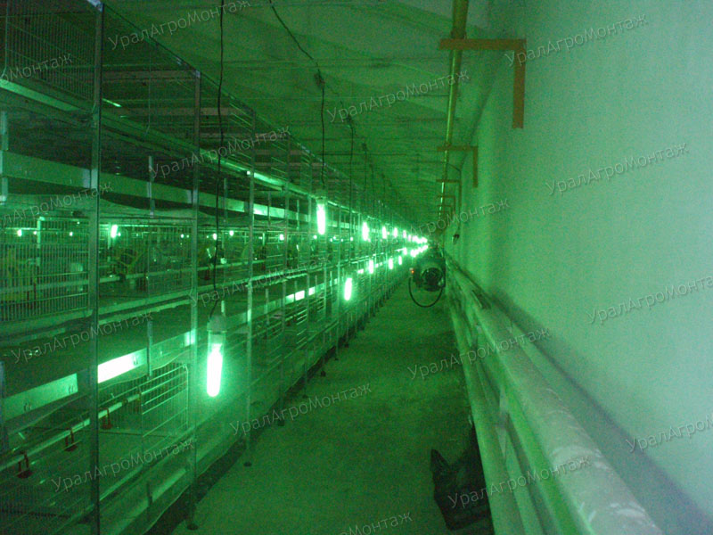 Люминесцентное освещение Gasolec для клеточного содержания птицы