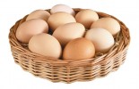 В 2016 году Улан-Удэнская птицефабрика выпустит порядка 60,0 млн. яиц