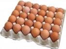 Башкирия стала лидером по темпам роста производства яиц