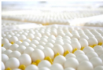Производство куриных яиц в Бурятии выросло до 47 миллионов штук