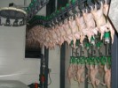 В Татарстане открылся новый завод по глубокой переработке мяса кур