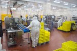 Межениновская птицефабрика в Томской области завершила модернизацию производства
